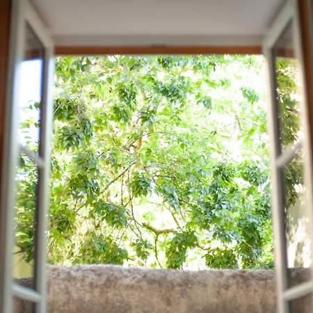 O Berge De La Cite Carcassone